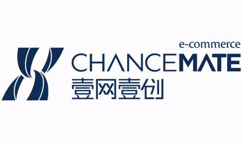 沈陽(yáng)淘寶代運(yùn)營(yíng)公司綜合實(shí)力解析與臺(tái)州廣告設(shè)計(jì)行業(yè)特色概覽